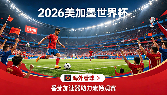 在新加坡看世界杯中文直播海外无法观看教程